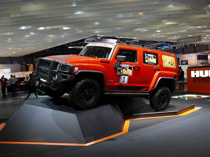 Hummer_P1080561_800.jpg