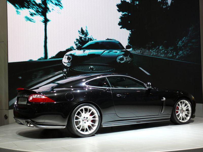 Jaguar_P1080102_800.jpg