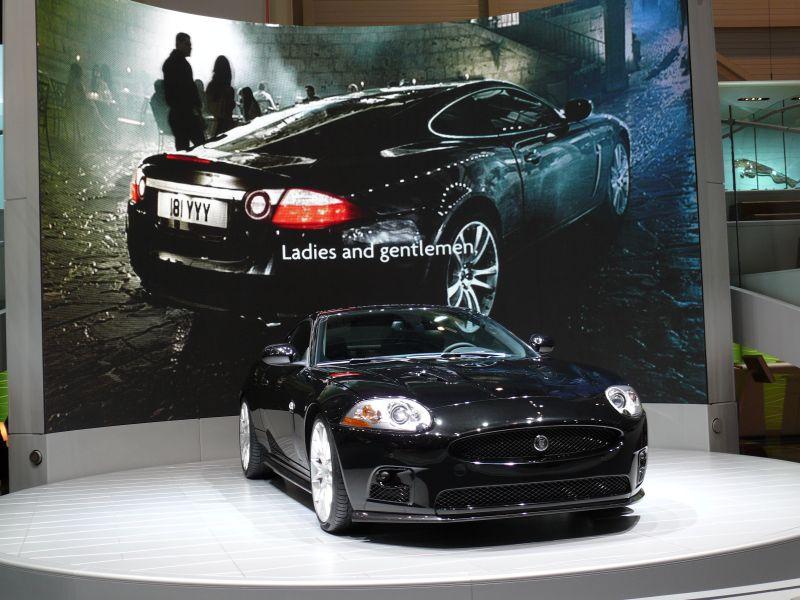 Jaguar_P1080108_800.jpg