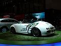 Erdgas_Porsche_P1080058_800