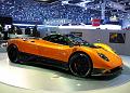 Pagani_P1080537_800