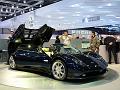 Pagani_P1090076_800