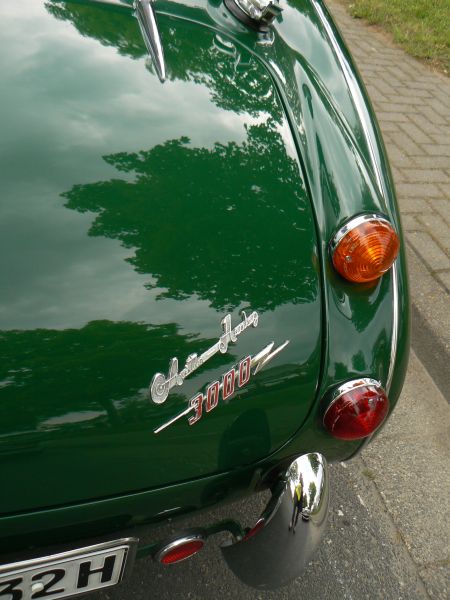P1230352_600.jpg