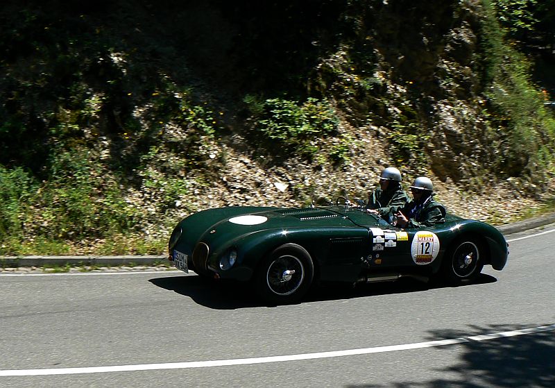 P1240046_800.jpg