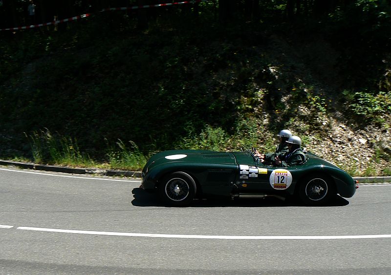 P1240047_800.jpg