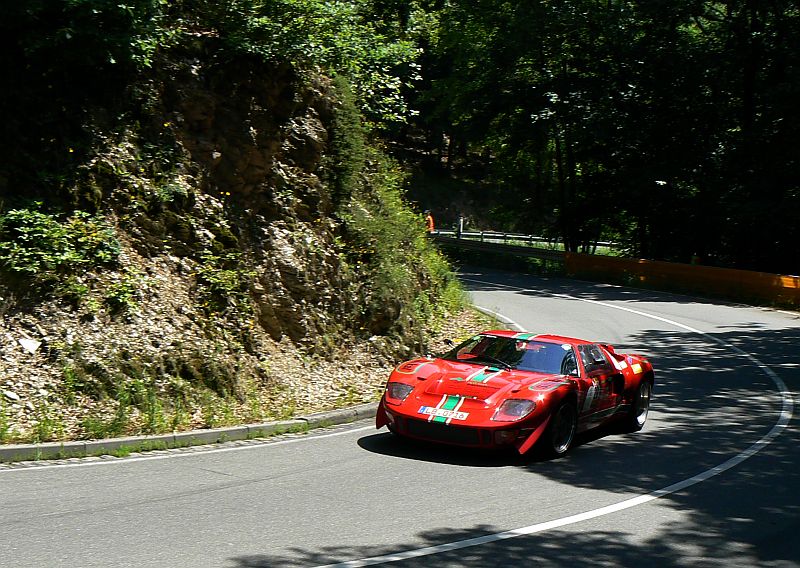 P1240078_800.jpg