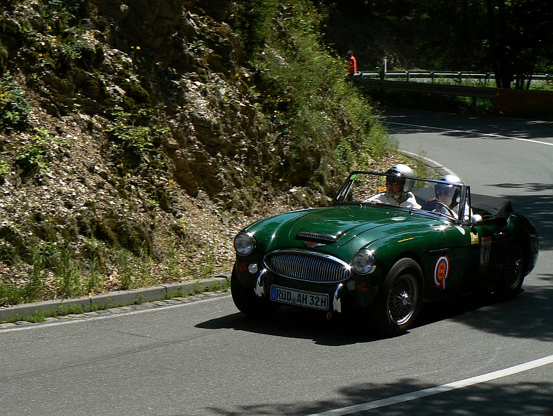 P1240095_800.jpg