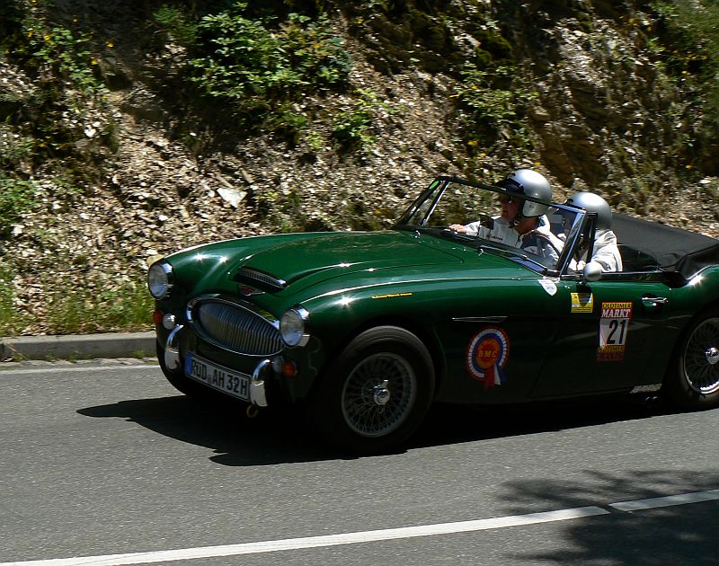 P1240096_800.jpg