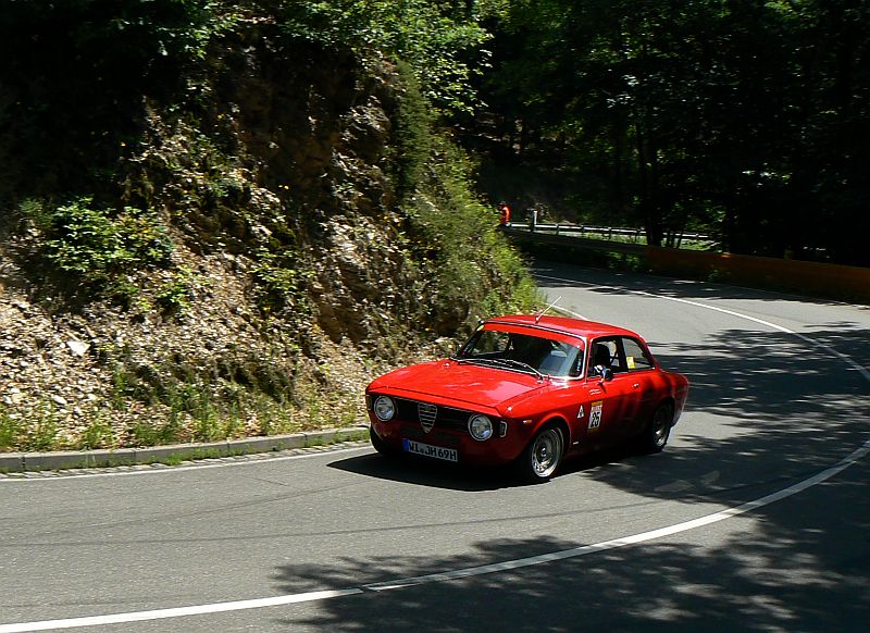 P1240114_800.jpg