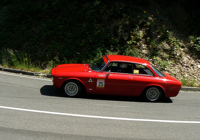 P1240116_800.jpg