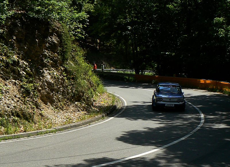 P1240133_800.jpg