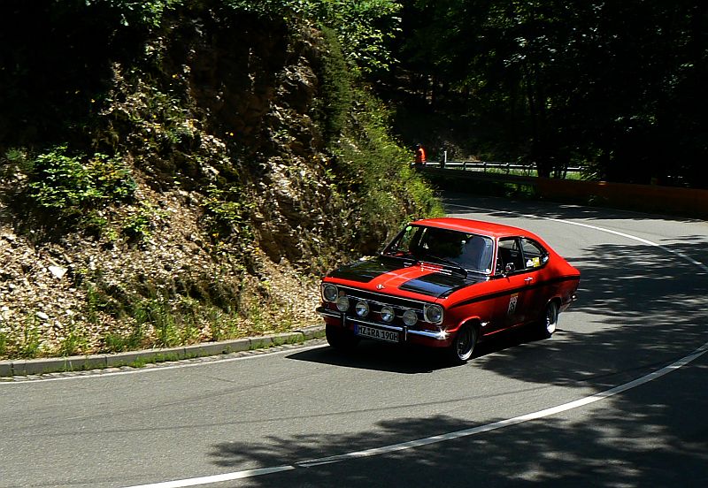 P1240148_800.jpg