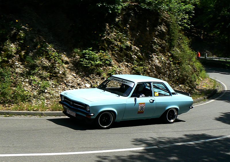 P1240156_800.jpg