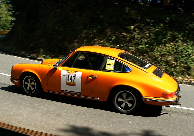 P1240455_800.jpg