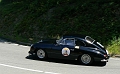 P1240067_800
